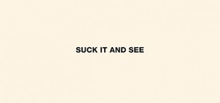 Arctic Monkeys - Suck It And See